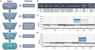 Investigation of Somatic Mutations in Human Brains Targeting Genes Associated With Parkinson's Disease